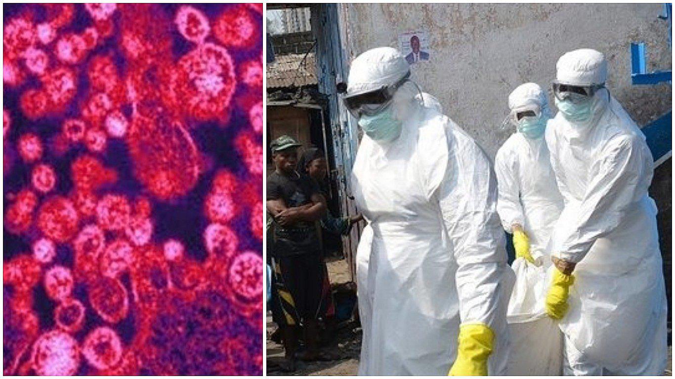 Fiebre de Lassa: enfermedad mortal se propaga velozmente y no existe vacuna