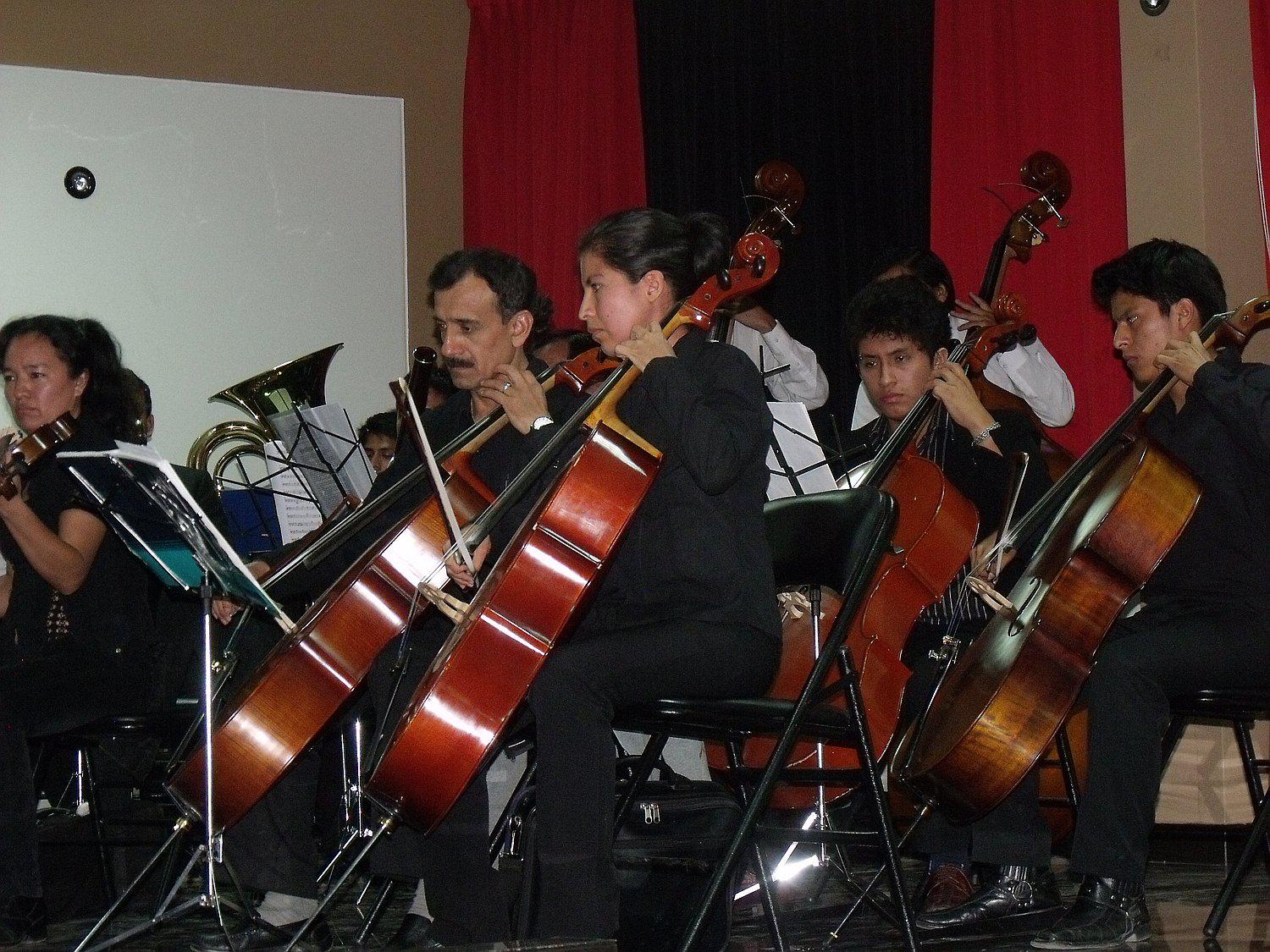 Instituto ​'Daniel Alomía Robles' ya tiene grado universitario 