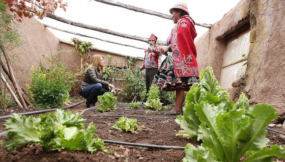 ​Comunidades campesinas de Cusco comparten sus experiencias productivas