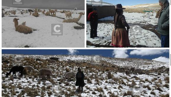 Nieve cubre zonas altoandinas de Cusco y pobladores claman por ayuda