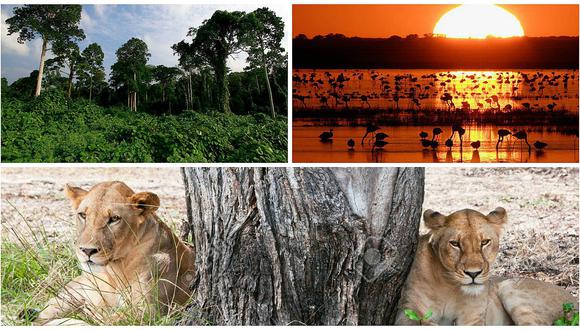 WWF: La mitad de los sitios naturales declarados por la UNESCO están amenazados