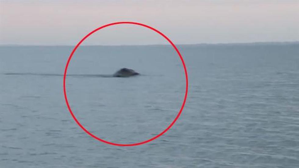 Por primera vez en 88 años, monstruo del lago Ness no aparece en 2013