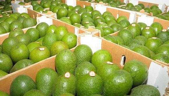 Productores peruanos de frutas y hortalizas lograron hacer negocios por $ 200 millones