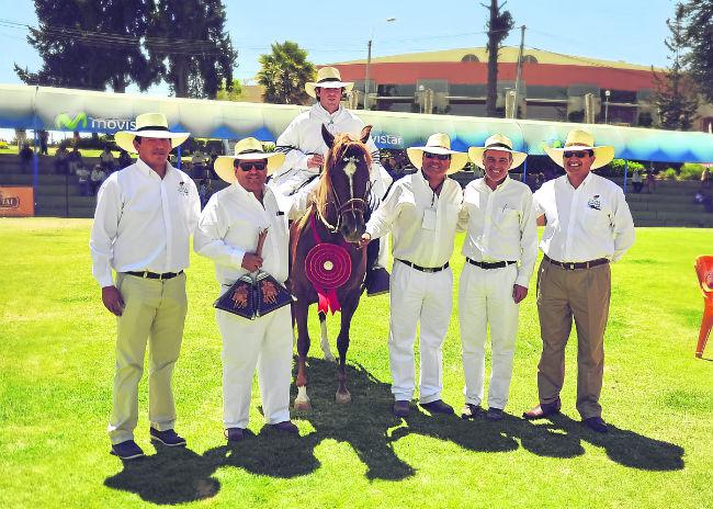 Arequipa: “Motivo a la gente a criar caballos  de paso”