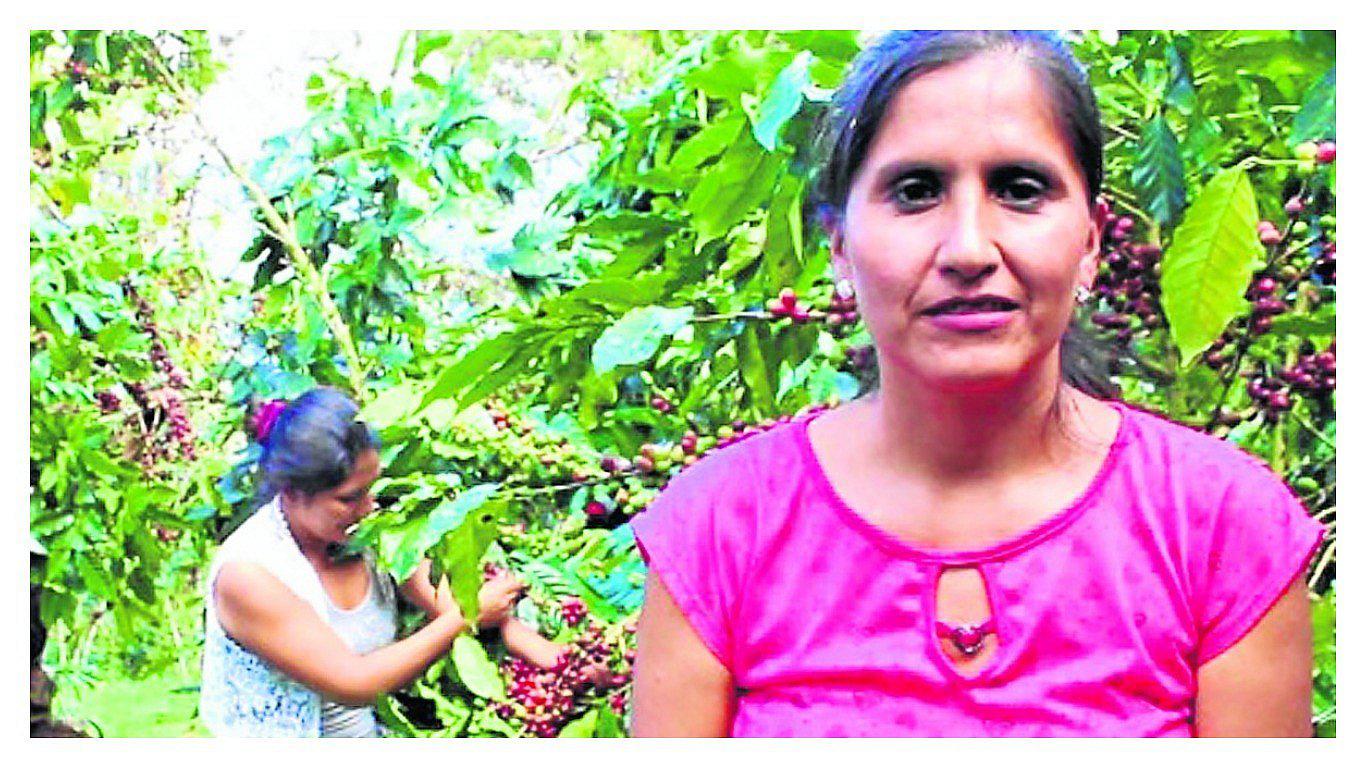 ​Junín: las mujeres de Pichanaki dirigen producción local de café