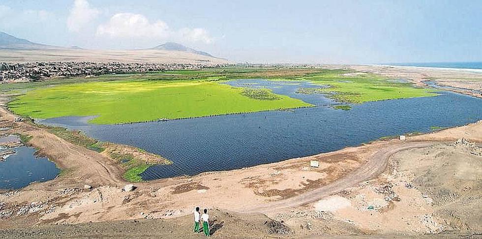 Turismo: conoce los humedales Santa Rosa en Chancay, a una hora de Lima (FOTOS)