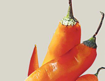 Precio del ají amarillo supera los 14 soles