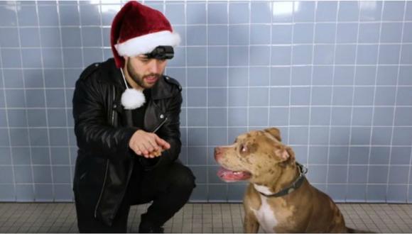 Mago realiza show para perros abandonados en un refugio y causa sensación en las redes (VIDEO)