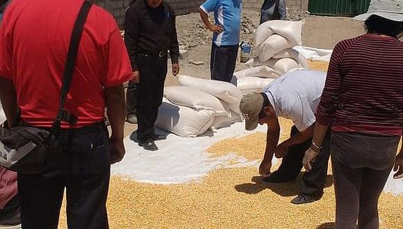 Municipalidad entrega 200 sacos de maíz con gorgojos  a criadores de chanchos