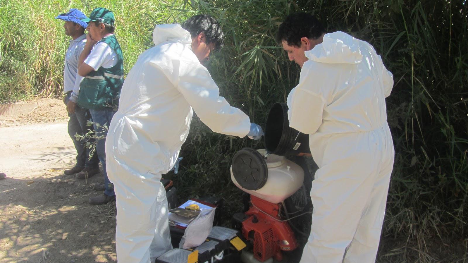Realizan simulacro por fiebre aftosa en Moquegua