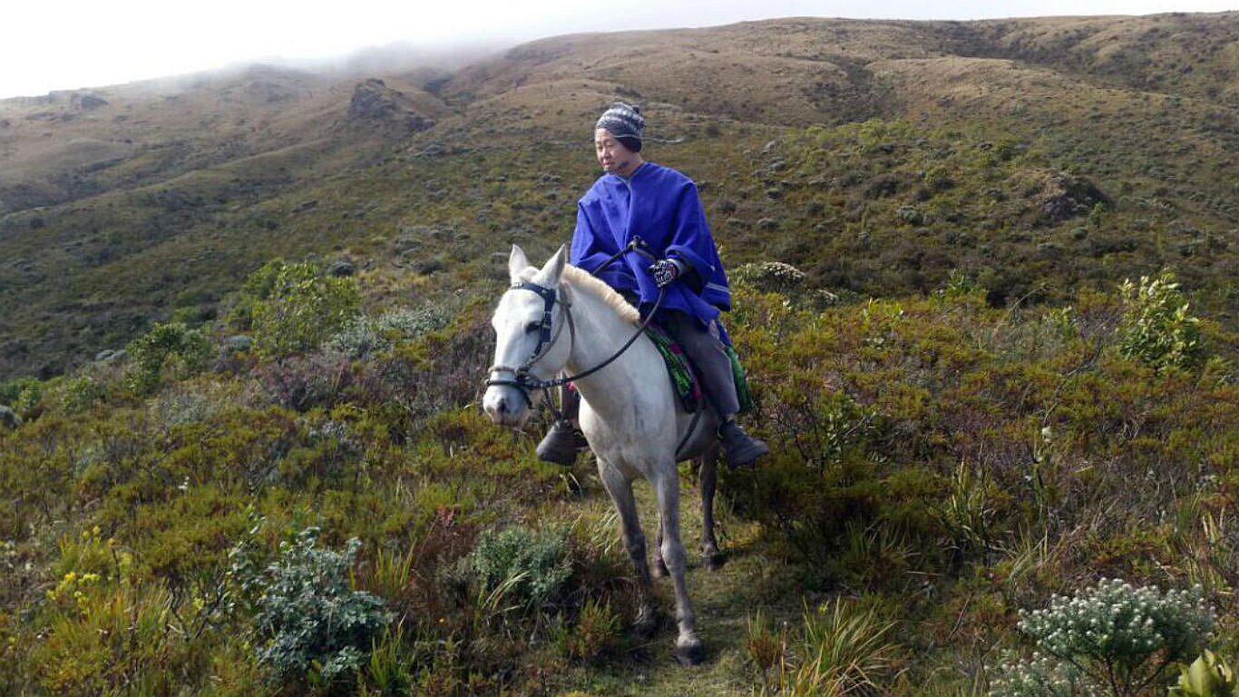 Kenji Fujimori y su misterioso mensaje en Twiter sobre la liberación de su padre