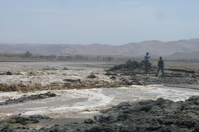 Serfor confirma afectación a ecosistema en desembocadura del Río Sama en Boca del Río