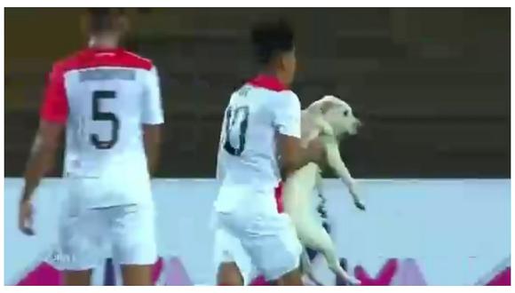 ​Perú vs Chile: perro irrumpió en la cancha y jugador nacional tuvo que sacarlo (VIDEO)