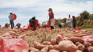 Imparable alza de alimentos y reducción de cultivos en Arequipa