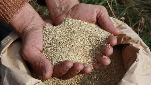 Ayacucho: Procompite a punto de ser anulado