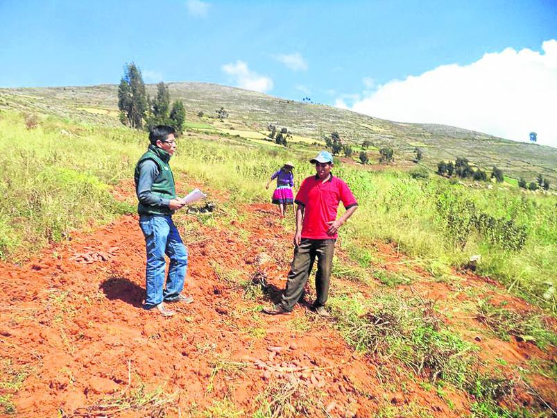 Agricultores de Junín  van perdiendo interés en la siembra 