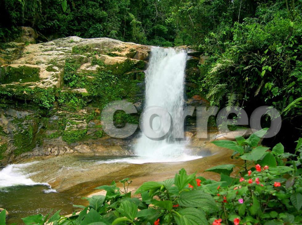 Satipo: El jardín natural rebosante de vida  y color (FOTOS)