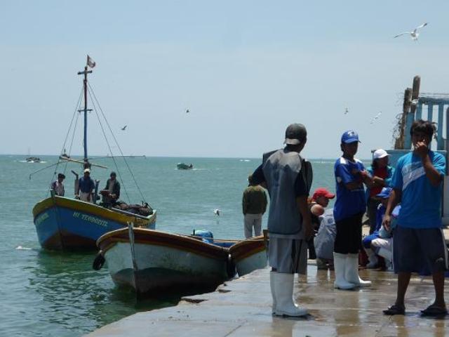 Buscan anular cierre de Isla Lobos de Tierra