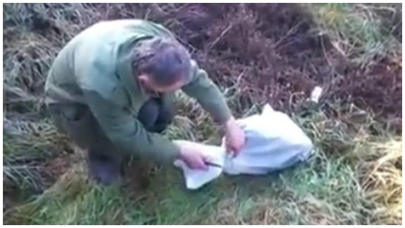 YouTube: Encontró una bolsa que se movía en un descampado y esto fue lo que halló (VIDEO)