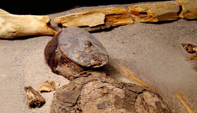 Chile: Investigan en ADN de momias de niños y bebés