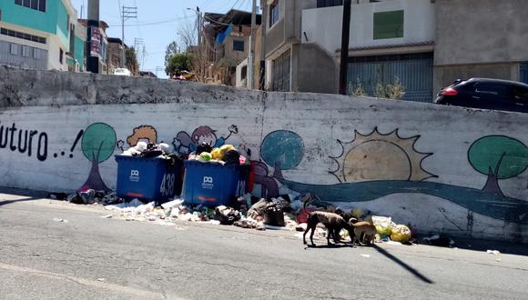 Los residuos salen de los contenedores y atraen a perros callejeros. (FOTO: Difusión)