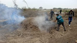 Destruyen 7 hornos artesanales de producción ilegal de carbón en Pacora