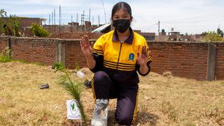 Con botellas implementan el riego por goteo para árboles en la región Junín