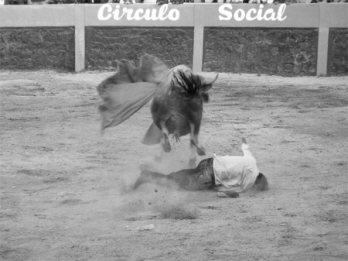 Festival de
 la emoción