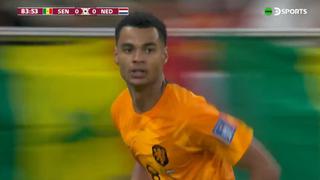Gol de Países Bajos: Cody Gakpo definió de cabeza para el 1-0 sobre Senegal (VIDEO)