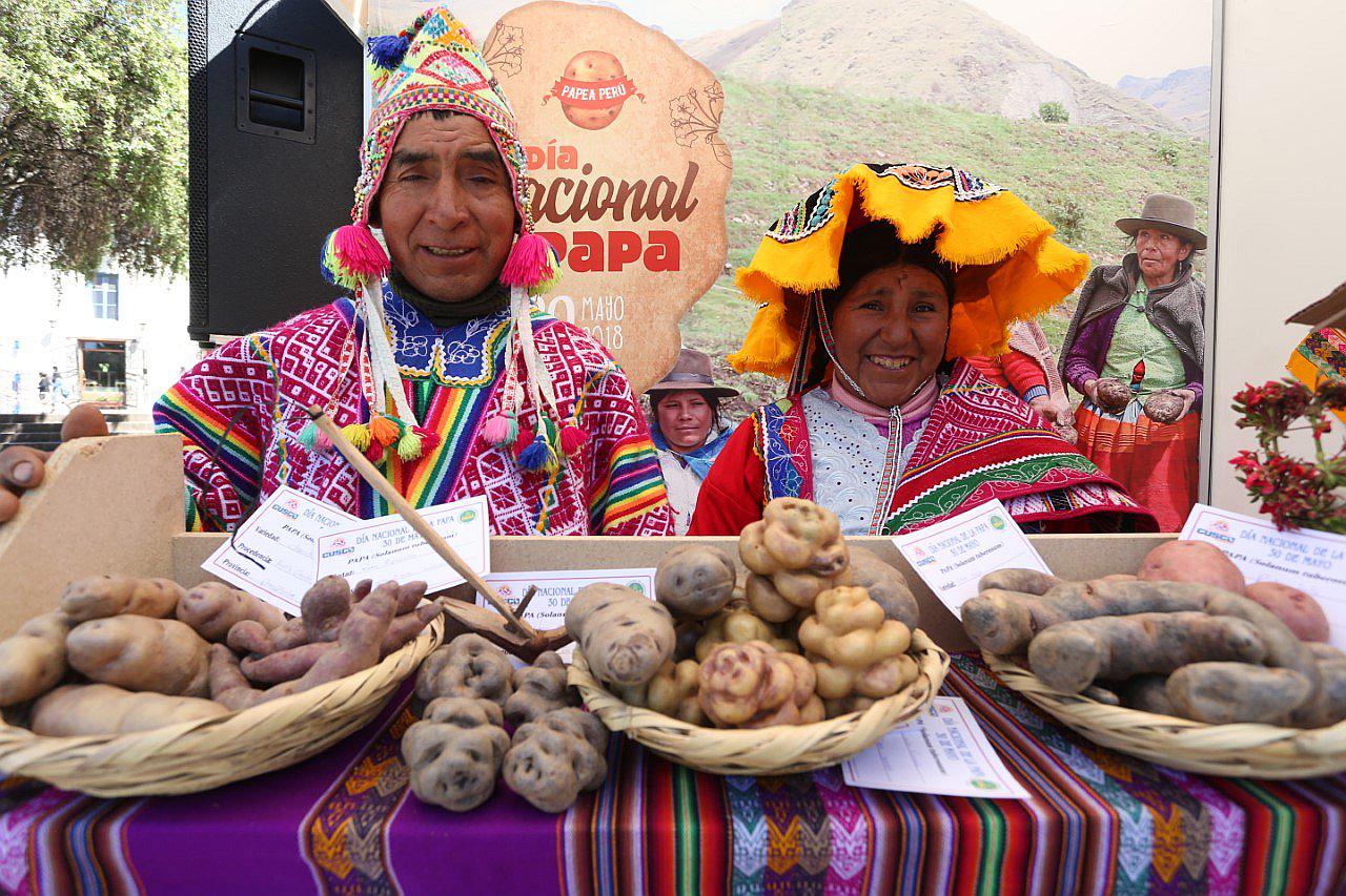 Cusco celebra el Día Nacional de la Papa con muestra de 300 variedades de este tubérculo