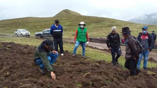 Más de 1500 productores recibirán seguro agrario en Huancavelica