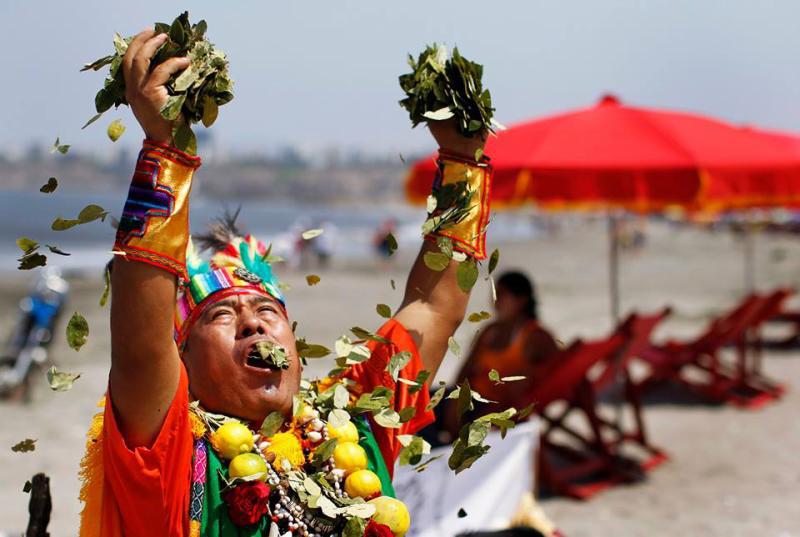 Hoja de coca es declarada como patrimonio cultural por Parlamento Andino