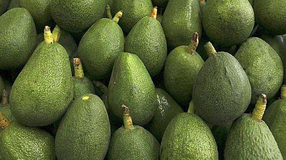 La Libertad ocupa el primer lugar en exportación de palta en el Perú 