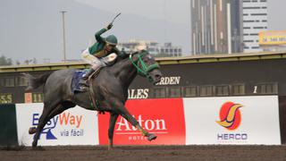 Jinete peruano ganador de premio internacional fallece tras caer de caballo en carrera (VIDEO)