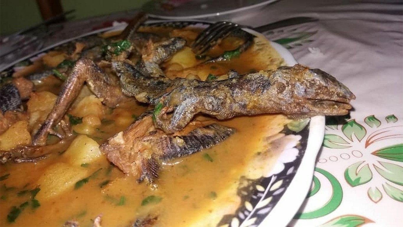 Fiscalía interviene restaurante donde vendían platos a base de cañanes (FOTO) 