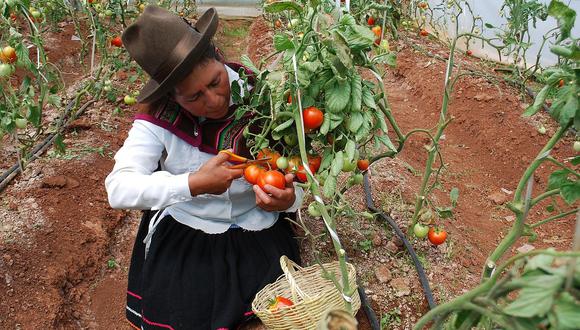 Proyectos sostenibles en Anta y Urubamba - Cusco