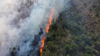 Pondrán en marcha plan para recuperar más de 2 mil hectáreas arrasadas por el fuego en Cusco