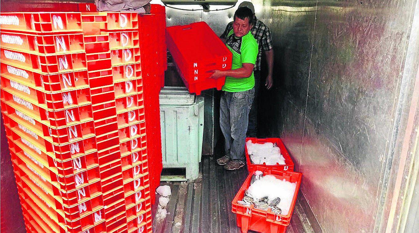 Direpro incauta pescado chiri y espejo en Zarumilla