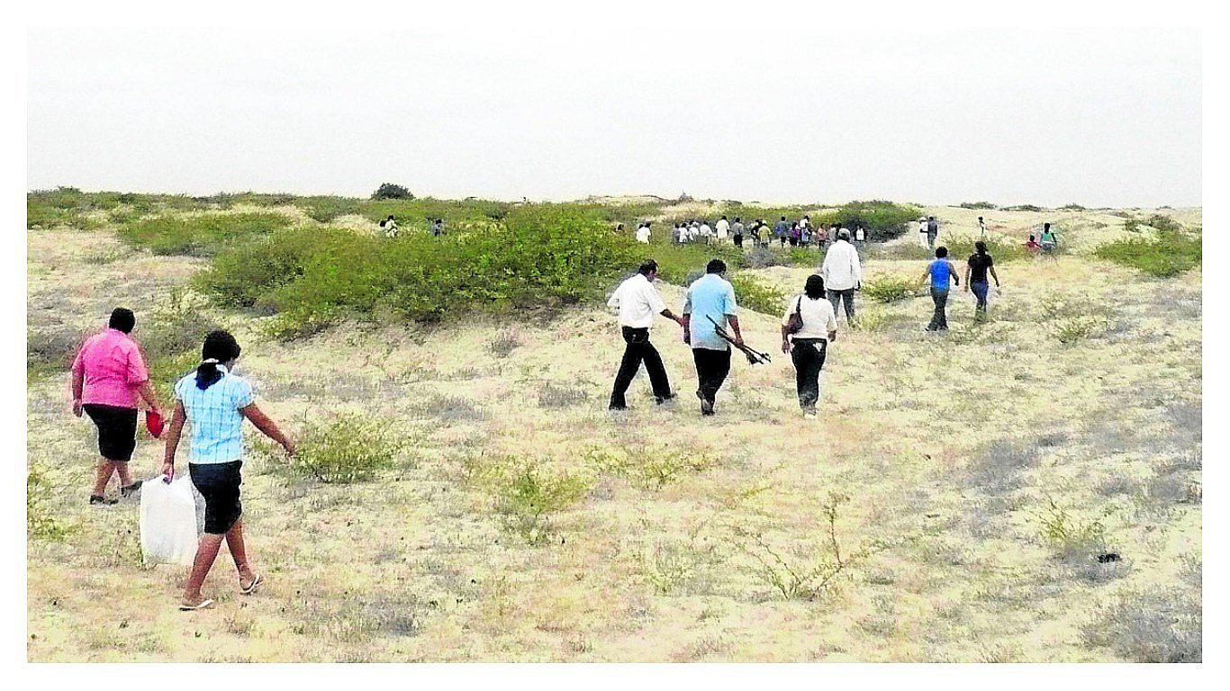 Traficantes intentan inscribir 80,200 has con certificaciones falsas y escrituras públicas