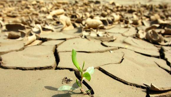 COP20: ¿Cuáles son los principales puntos del acuerdo de Lima sobre cambio climático?