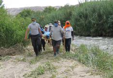 Hombre cae a río y muere tras ataque de abejas en Cusco