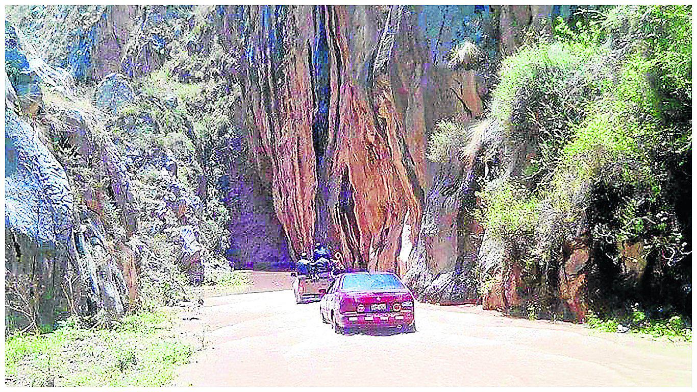 ​Río Cañete se desborda e inunda carretera Yauyos Chupaca por tramos