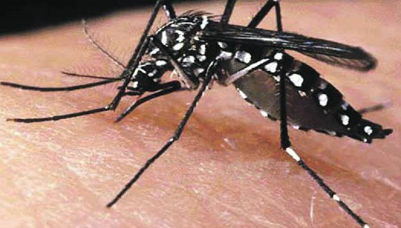 Piura: Diresa confirma 65 casos de dengue en la región 