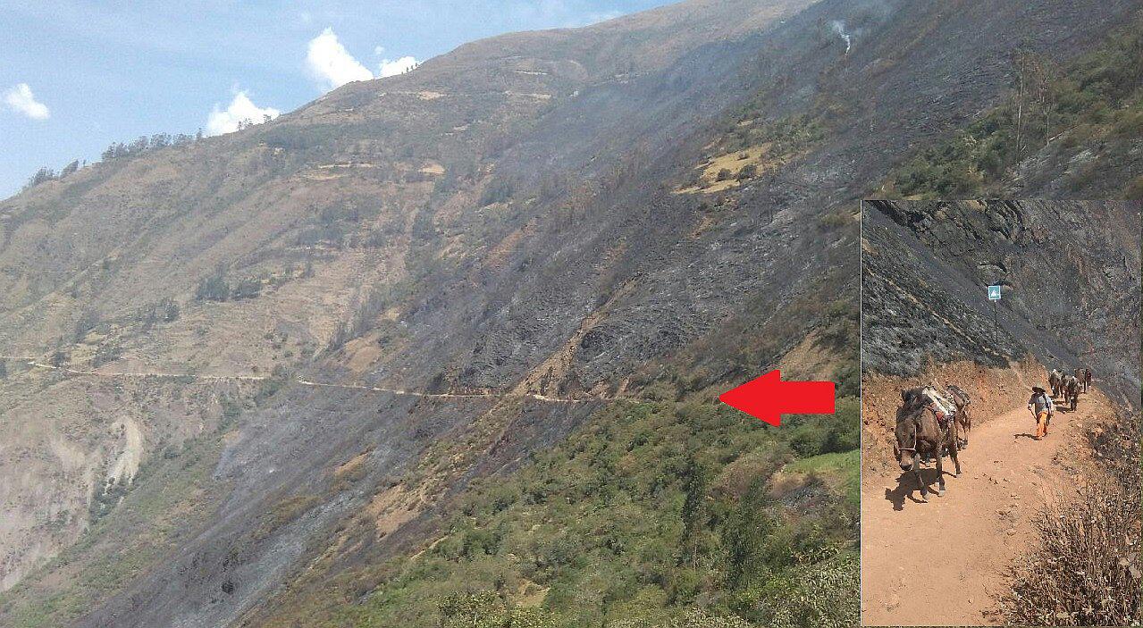 Incendio forestal devora más de 1,500 hectáreas en San Pedro de Cachora