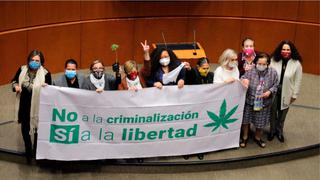 Histórico: Senado de México aprueba legalizar la marihuana recreativa