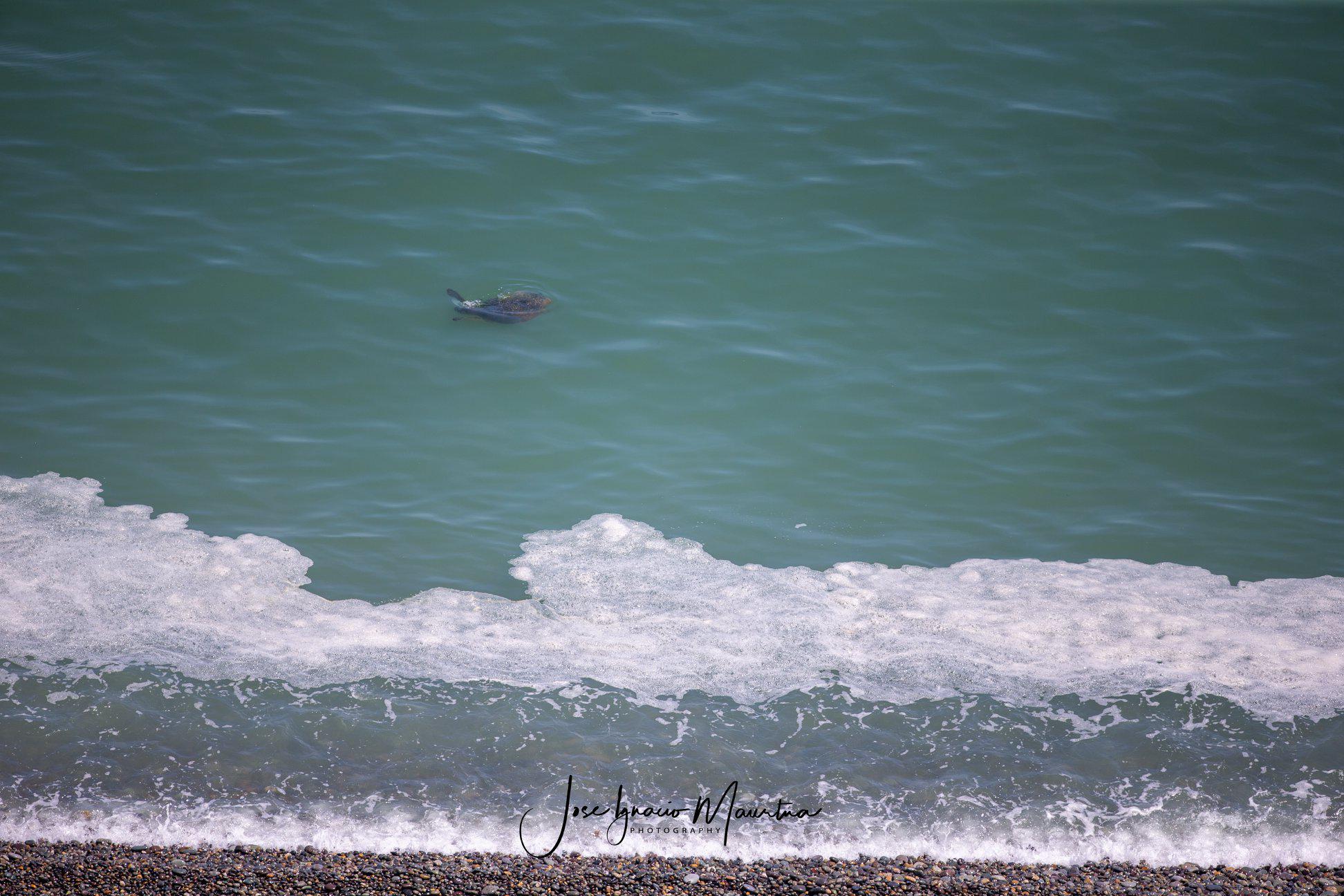 Foto: José Ignacio Martua