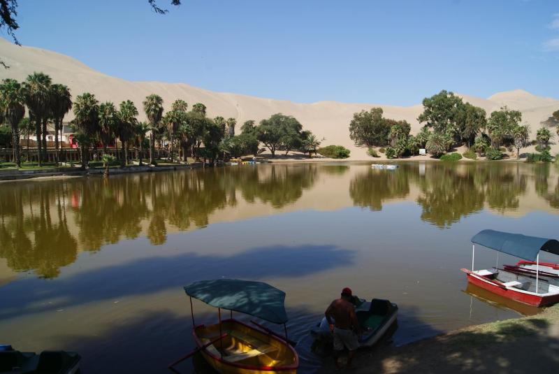 Ica: Preocupación por descenso en el nivel de agua en laguna Huacachina 