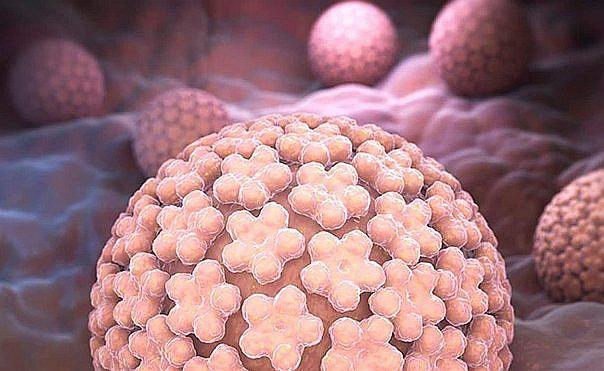 Implementan prueba molecular rápida para diagnóstico de cáncer de cuello uterino