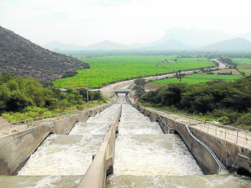 Sector de platanar tendrá reserva de agua