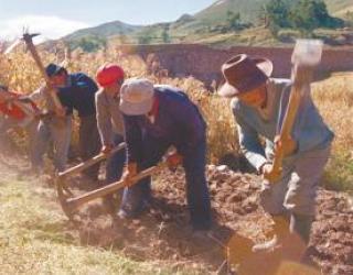 Agrobanco abrirá oficinas en Chucuito y Sandia